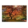 Trademark Fine Art Moises Levy 'The Tree Horizontal' Canvas Art, 30x47 ALI6047-C3047GG